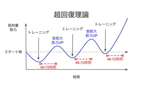 超回復 部位|筋トレ後の【超回復】とは？部位ごとの回。